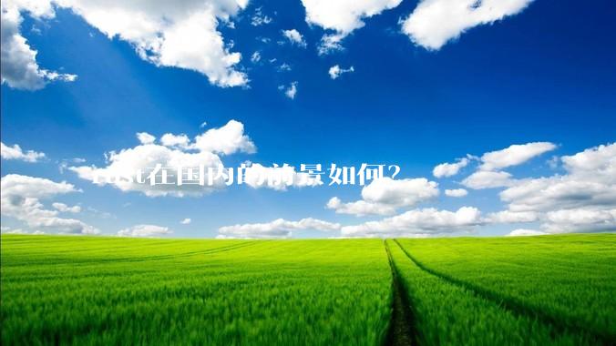 rust在国内的前景如何？