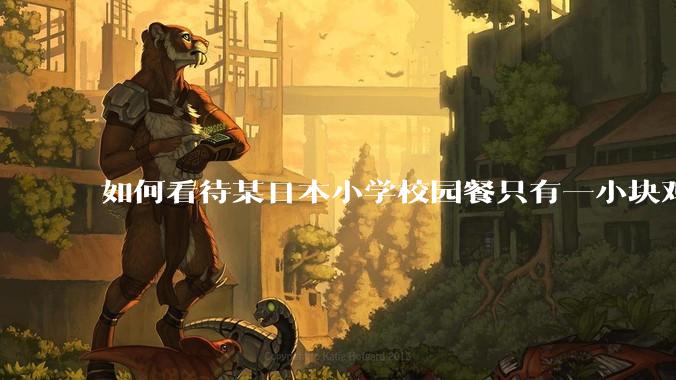 如何看待某日本小学校园餐只有一小块鸡肉？