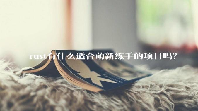 rust有什么适合萌新练手的项目吗？