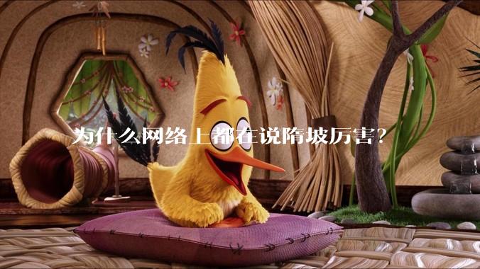为什么网络上都在说隋坡厉害？