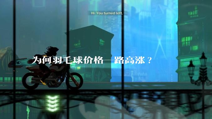 为何羽毛球价格一路高涨?