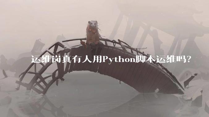 运维岗真有人用Python脚本运维吗？
