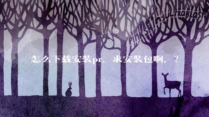 怎么下载安装pr，求安装包啊，？