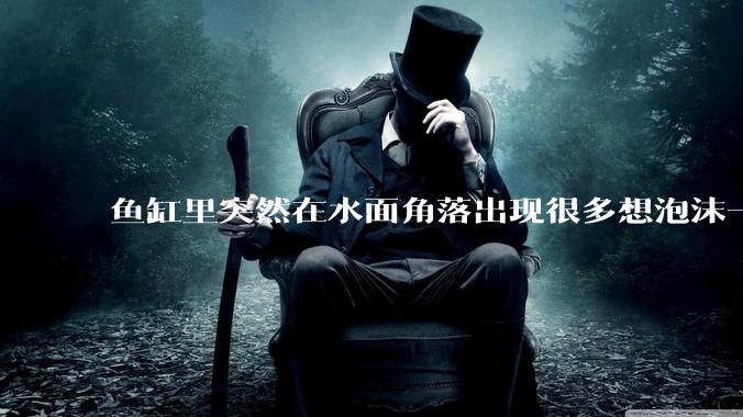 鱼缸里突然在水面角落出现很多想泡沫一样的气泡是怎么回事？