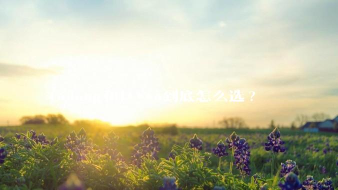 Golang和J***a到底怎么选?