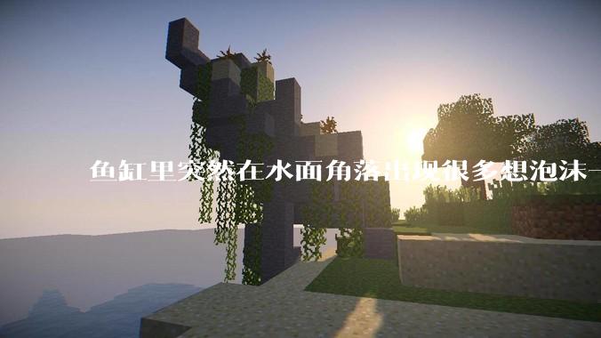 鱼缸里突然在水面角落出现很多想泡沫一样的气泡是怎么回事？