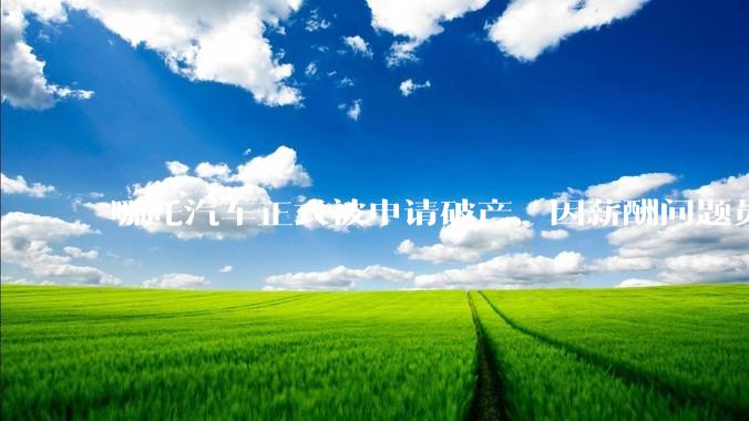 哪吒汽车正式被申请破产，因薪酬问题员工已两月没去上班，被申请破产意味着什么？员工权益还能得到保障吗？