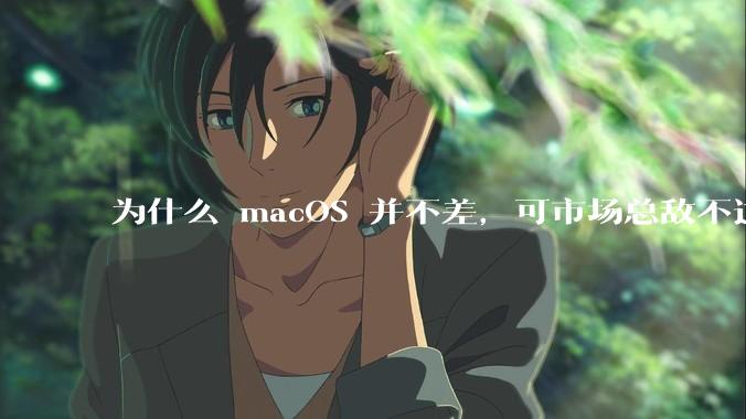 为什么 macOS 并不差，可市场总敌不过 Windows？