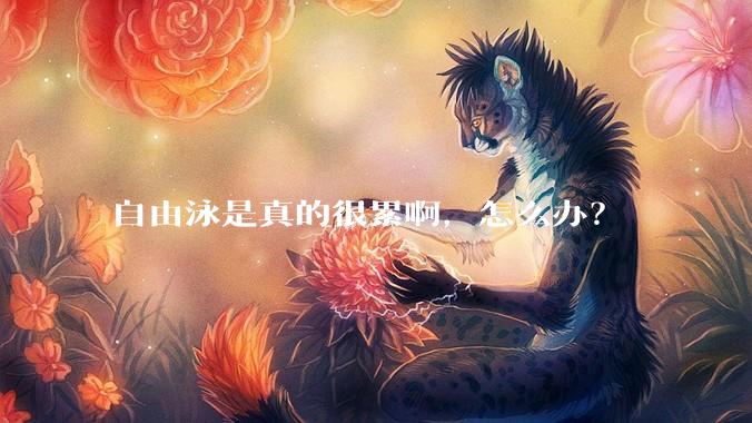 自由泳是真的很累啊，怎么办？