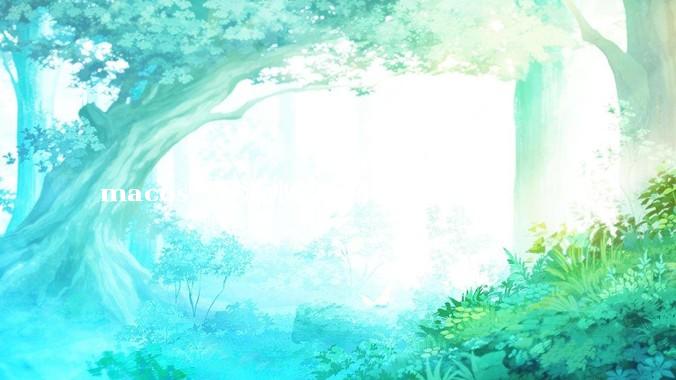 macos 不流畅如何处理？